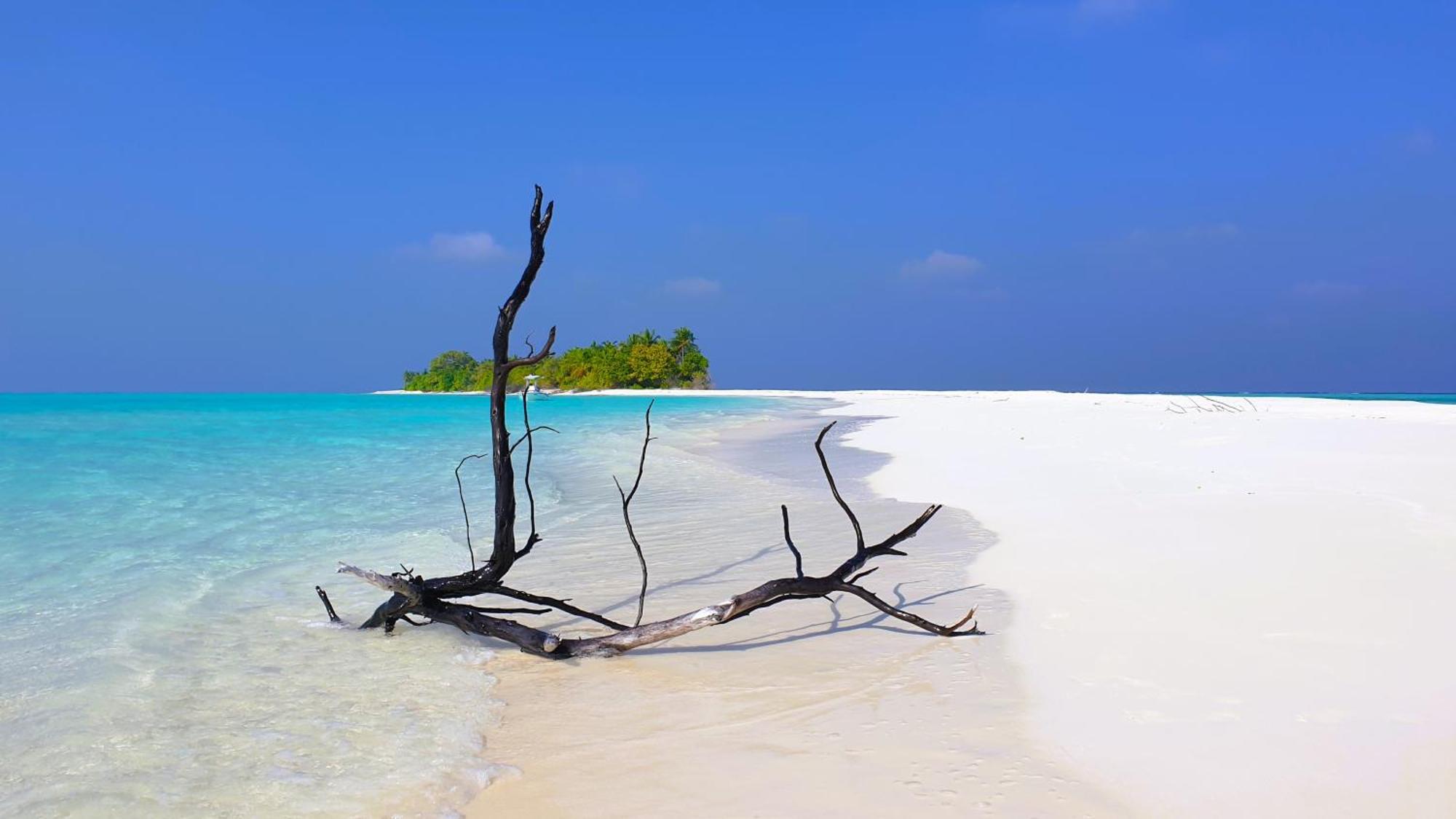 The Fulhadhoo Beach Cottage Exteriör bild
