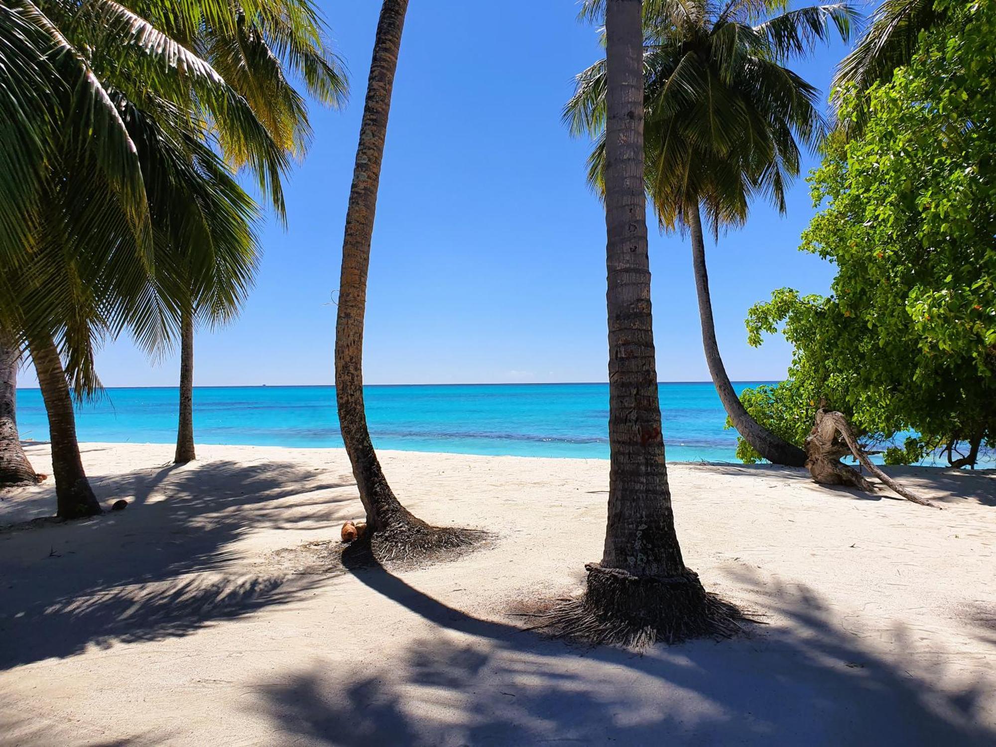 The Fulhadhoo Beach Cottage Exteriör bild
